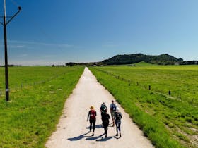 Aussie Camino walkers walking towards Mt Schank/Parreen