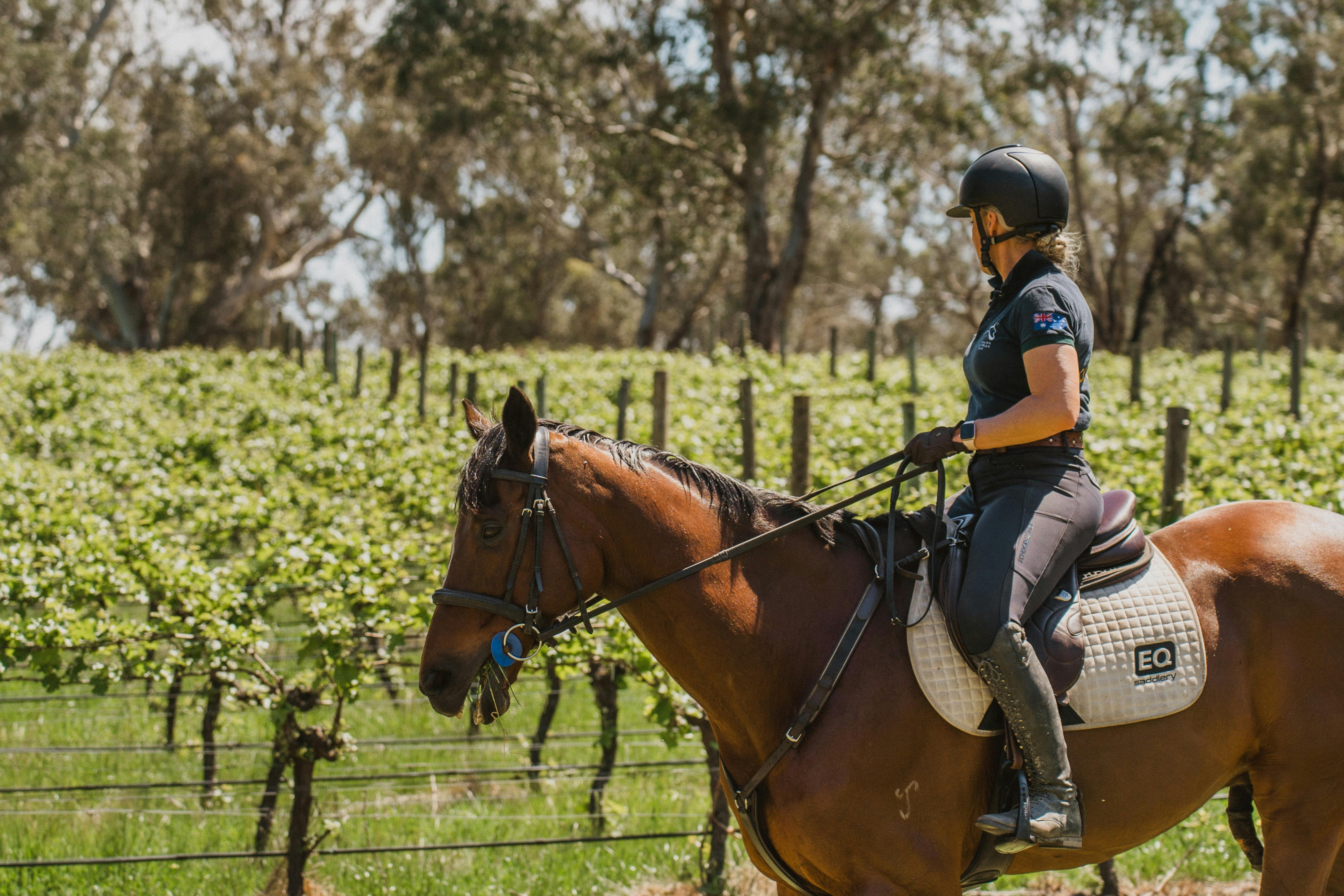 VIP Private Horse Trail Ride & Lunch with Olympian Megan Jones at Petaluma