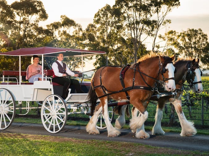 Carriage of Occasion