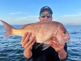 Snapper - March 2022