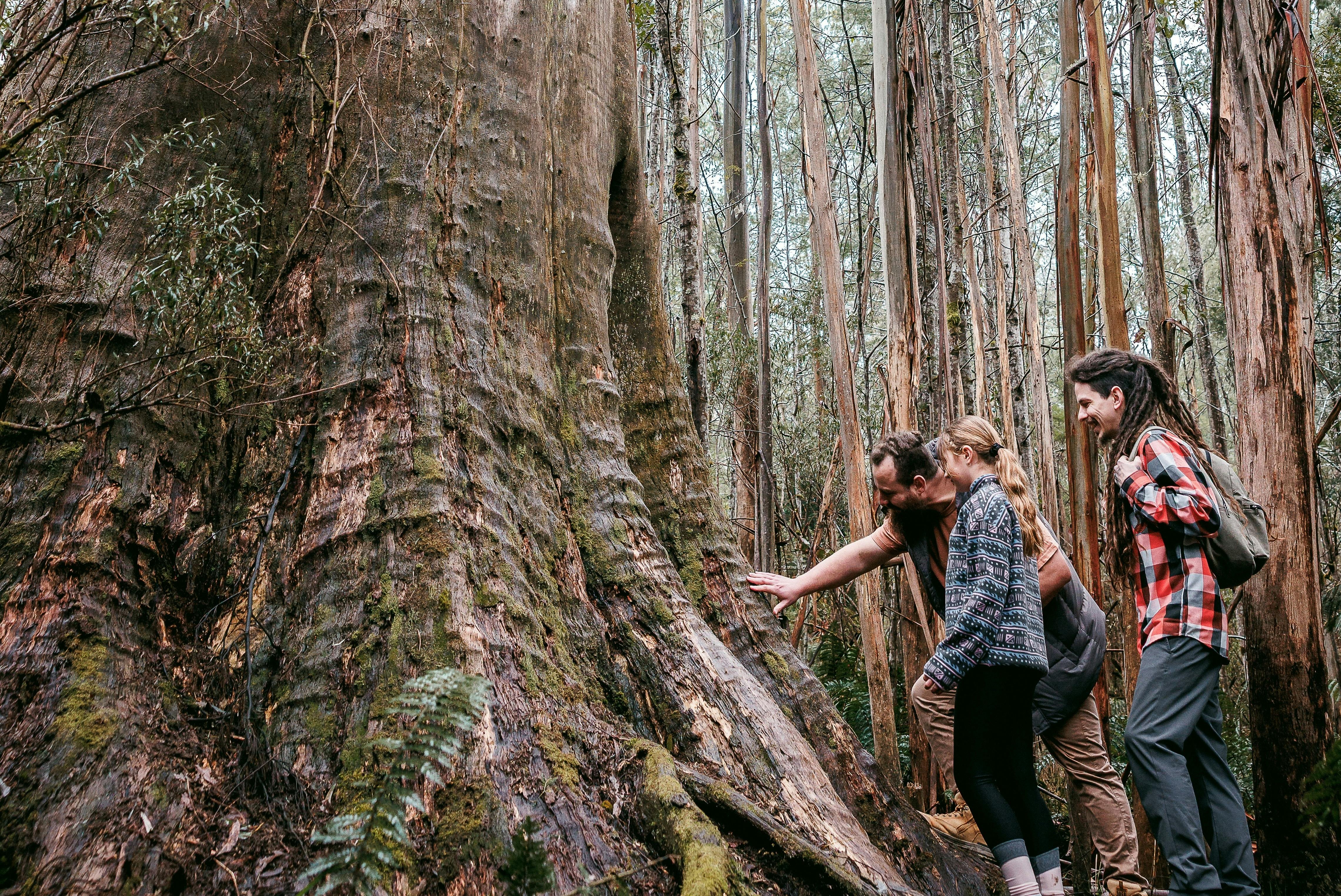 Cambarville historic Area