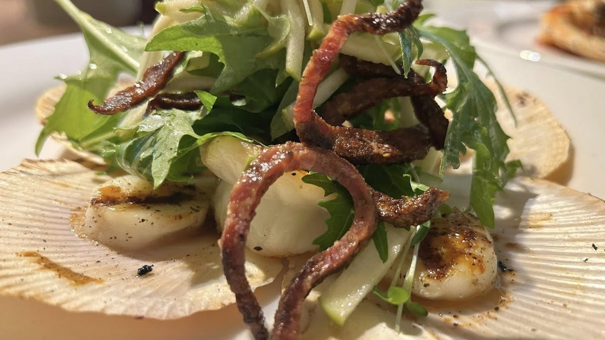 Scallops