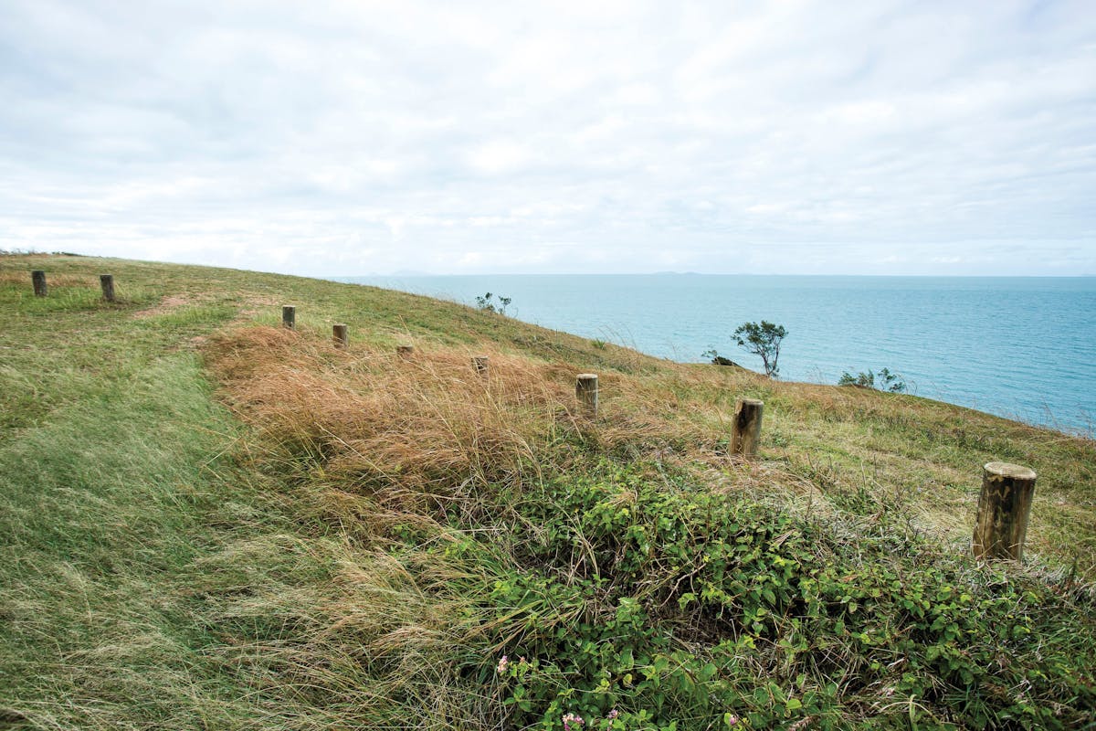 Grassy lookout over ocea at Cape Palmerston.