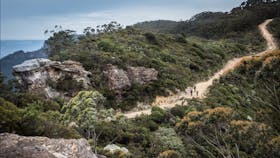 Narrowneck Trail Katoomba