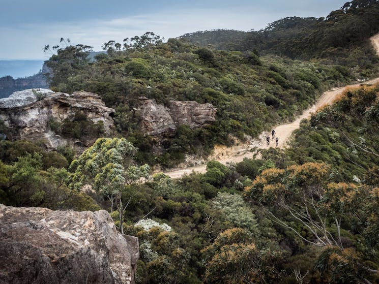 Narrowneck Trail Katoomba
