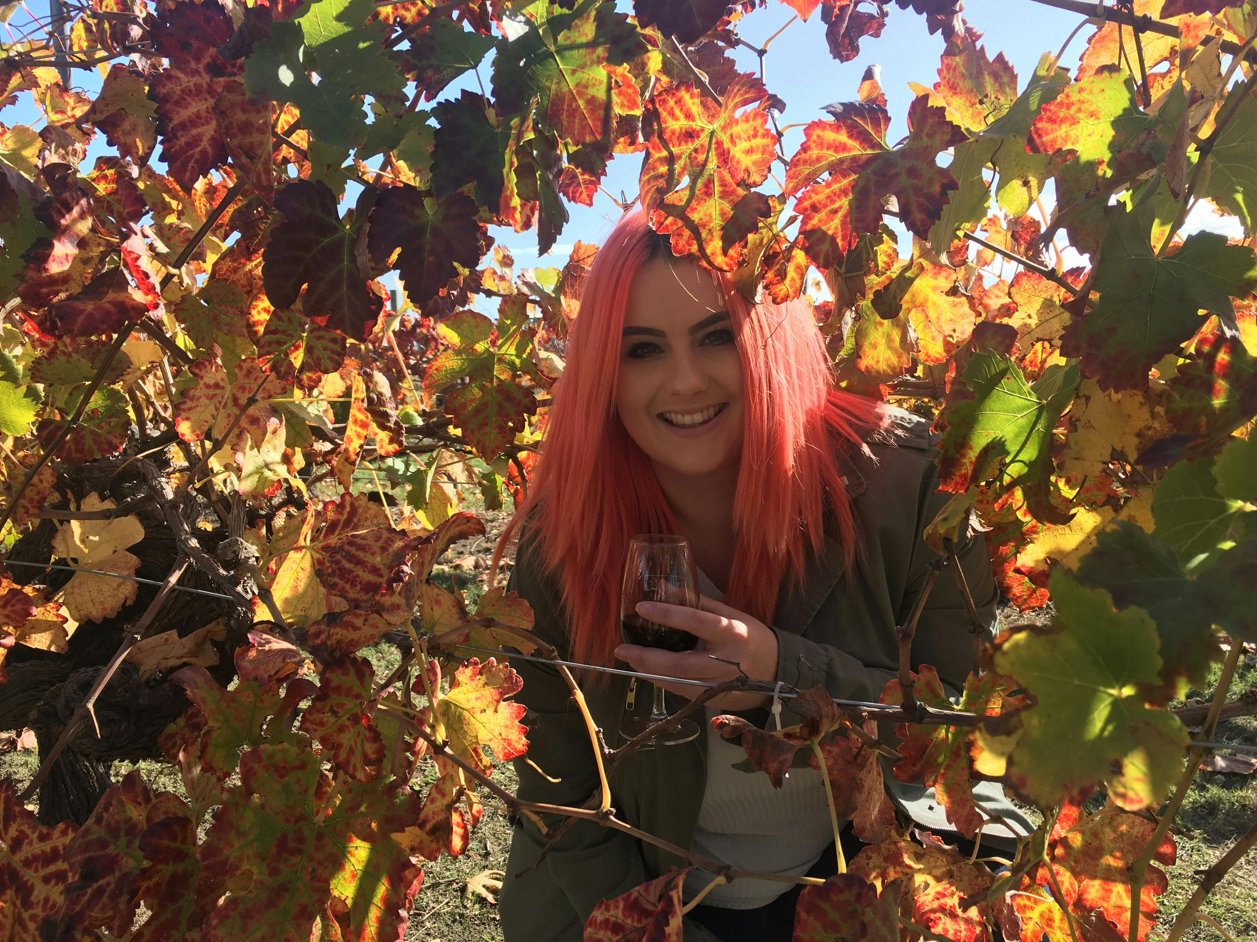 Swan Valley Winery Experience