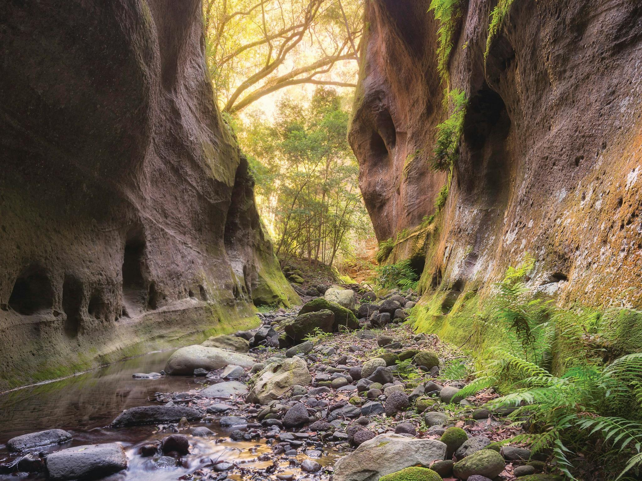 Carnarvon Gorge Carnarvon Gorge