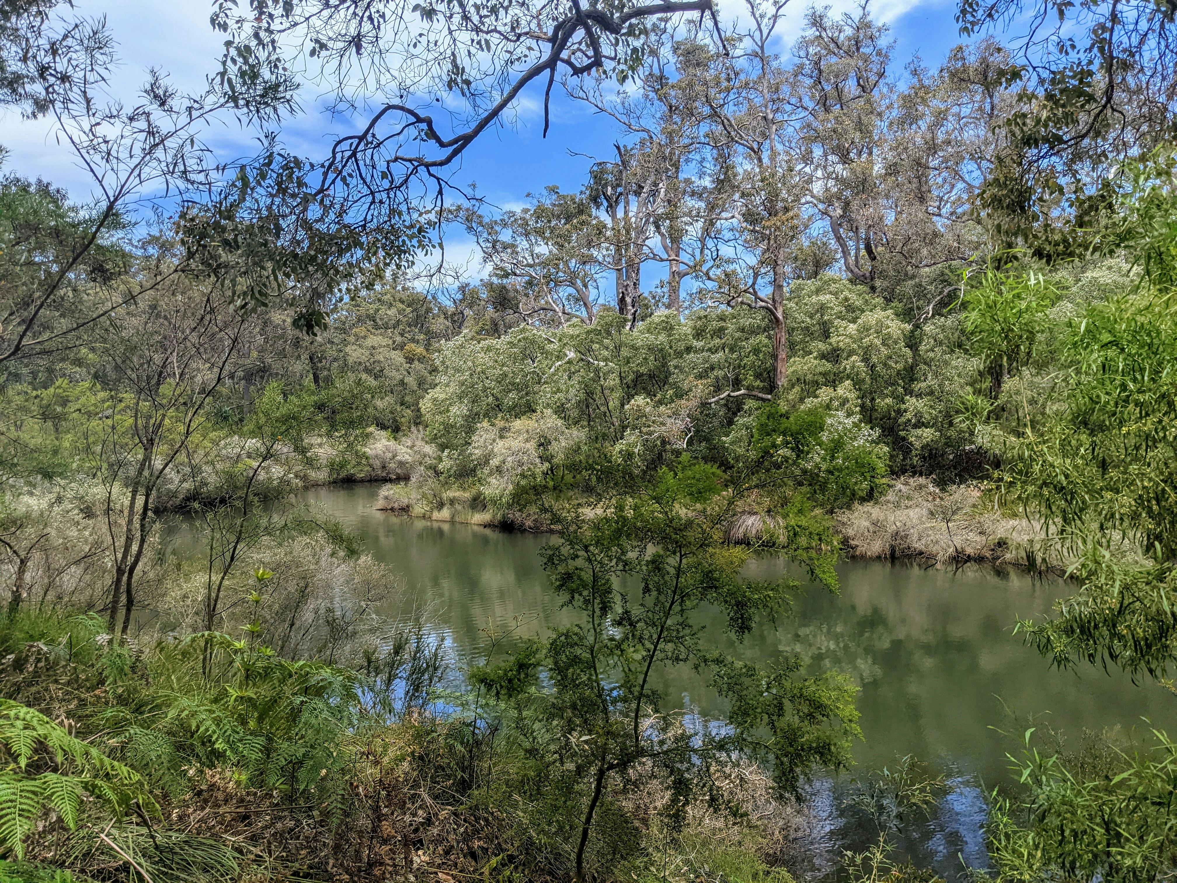 Chapman Pool Campground