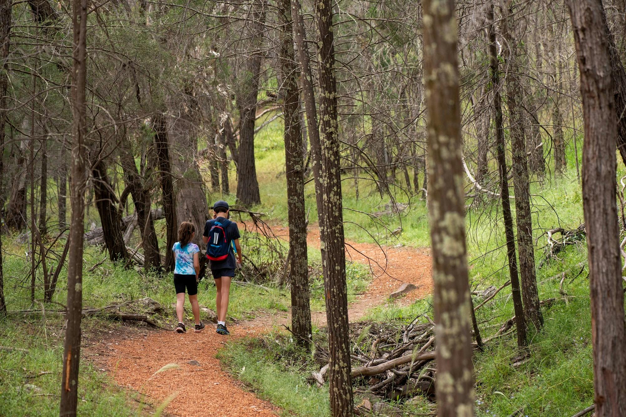 Cocoparra National Park