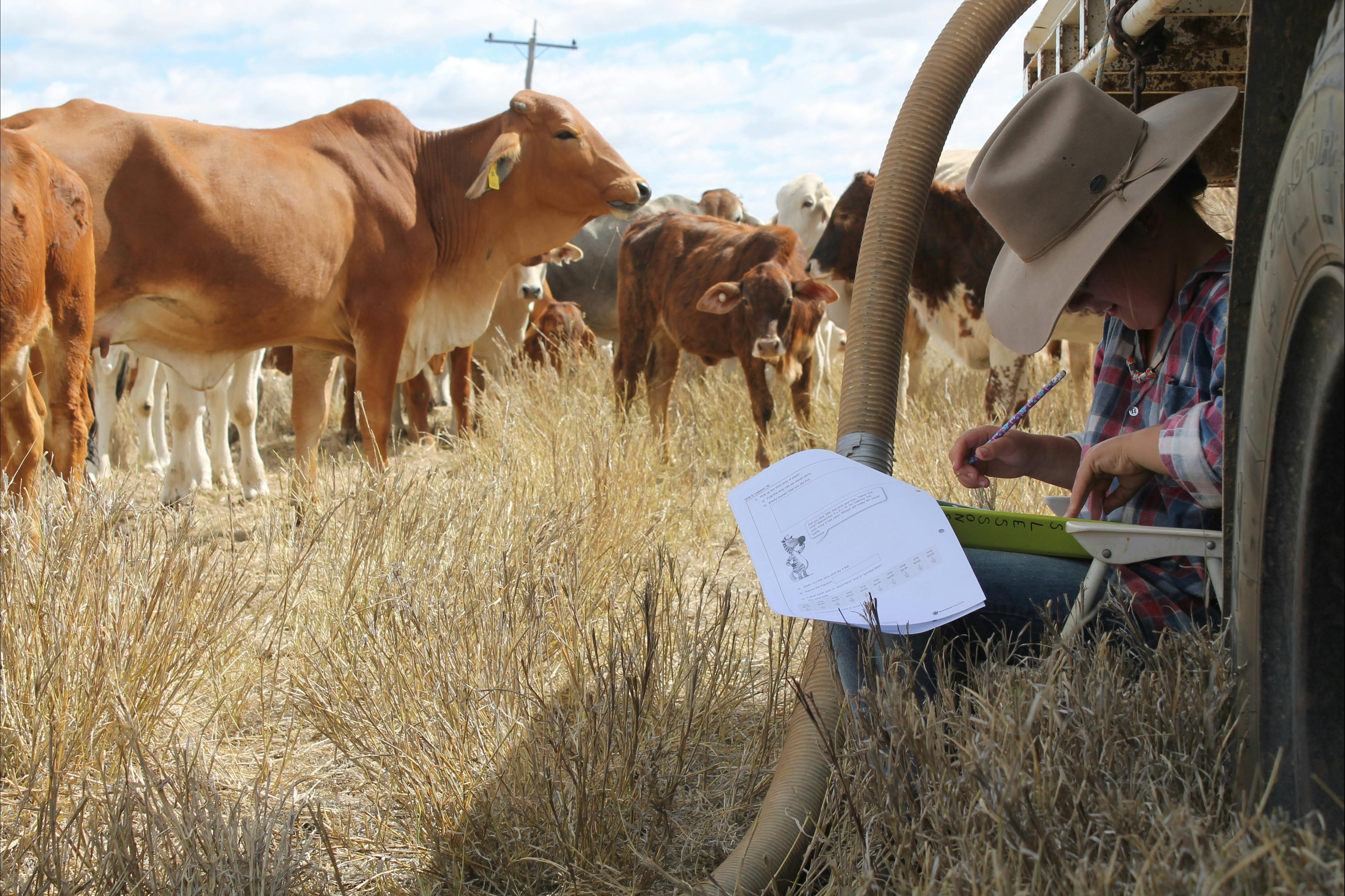 Longreach School of Distance Education P&C Tourism