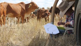 Longreach School of Distance Education P&C Tourism