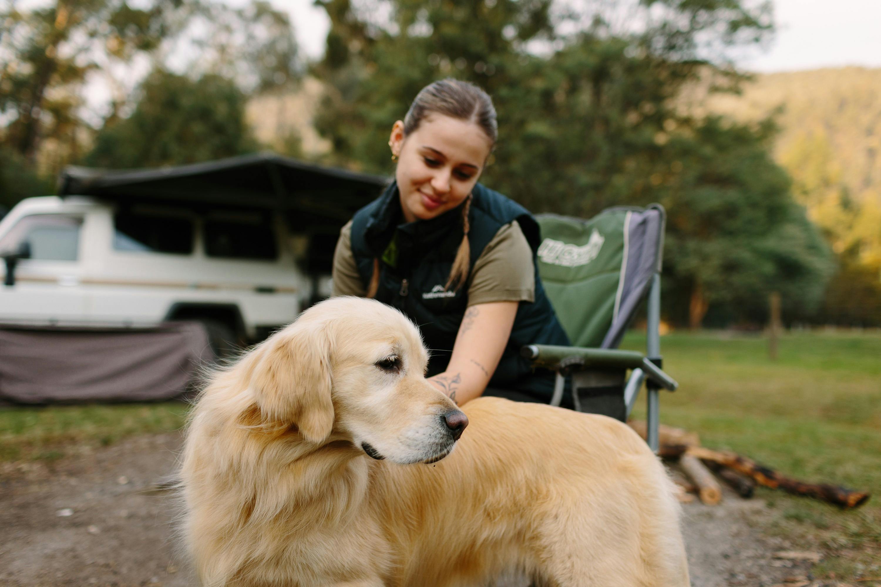 Your dog is welcome everywhere