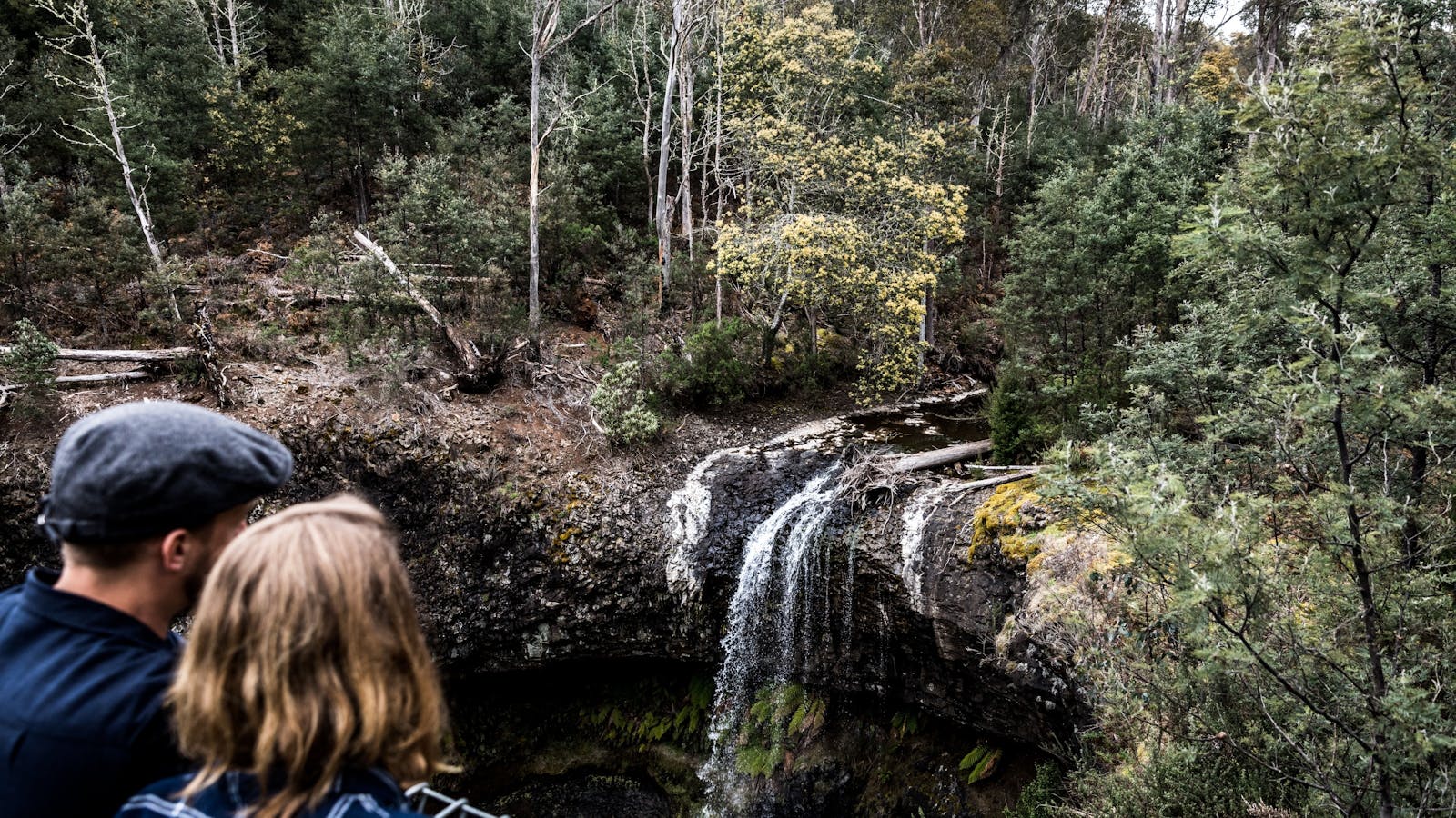 Tarraleah Estate has a number of bush walks including one that leads to their own waterfall.