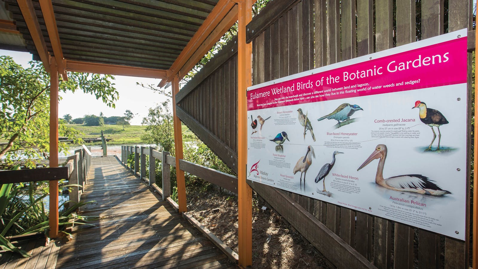 Mackay Regional Botanic Gardens