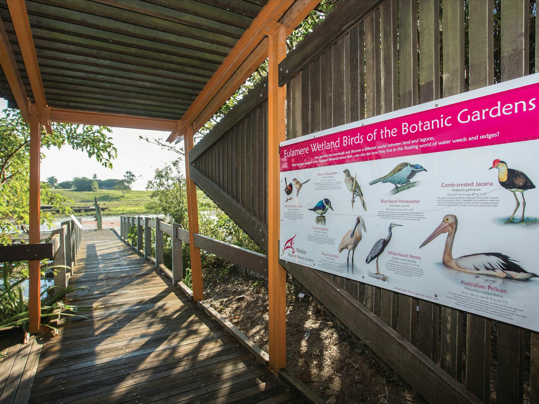 Mackay Regional Botanic Gardens BIG4 Mackay Marine Tourist Park