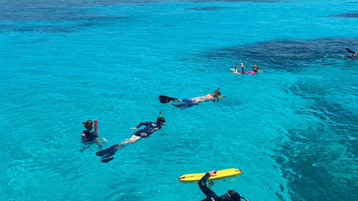 Tiny snorkel group guided by marine biologist Tiny snorkel group guided by marine biologist