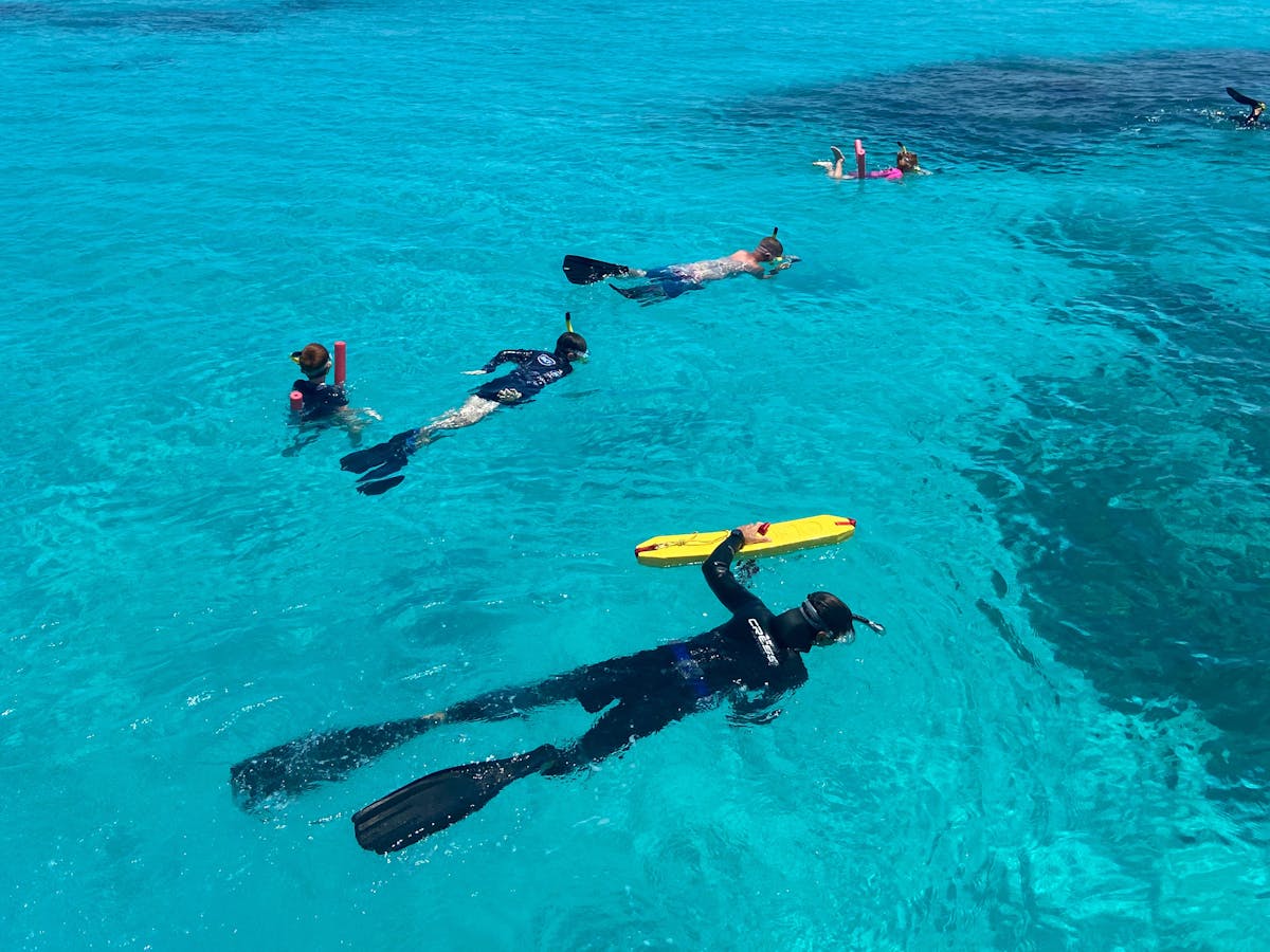 Tiny snorkel group guided by marine biologist
