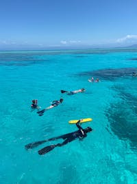 Tiny snorkel group guided by marine biologist