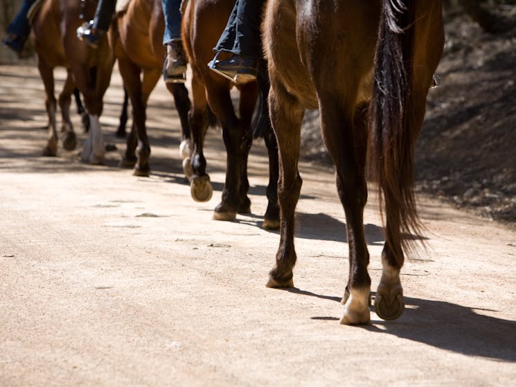 Rides are organised to your skill level.