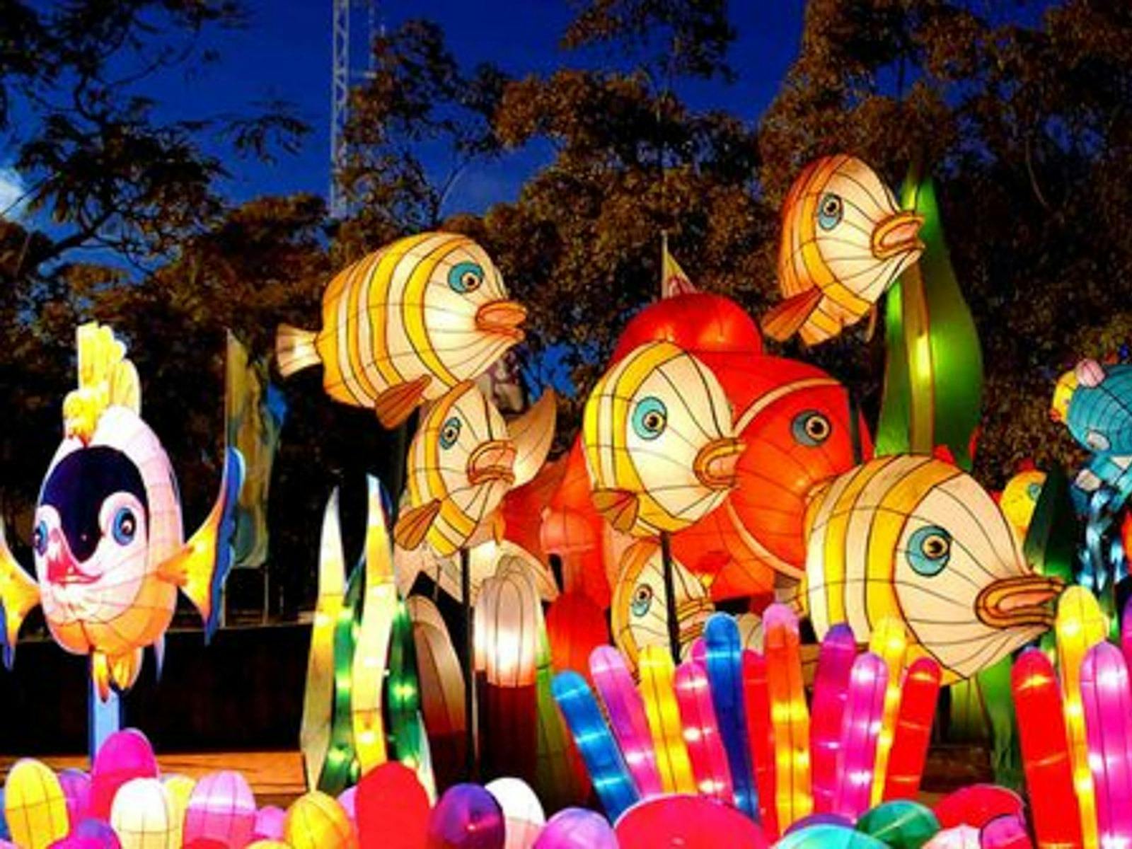Magic by Moonlight Queensland