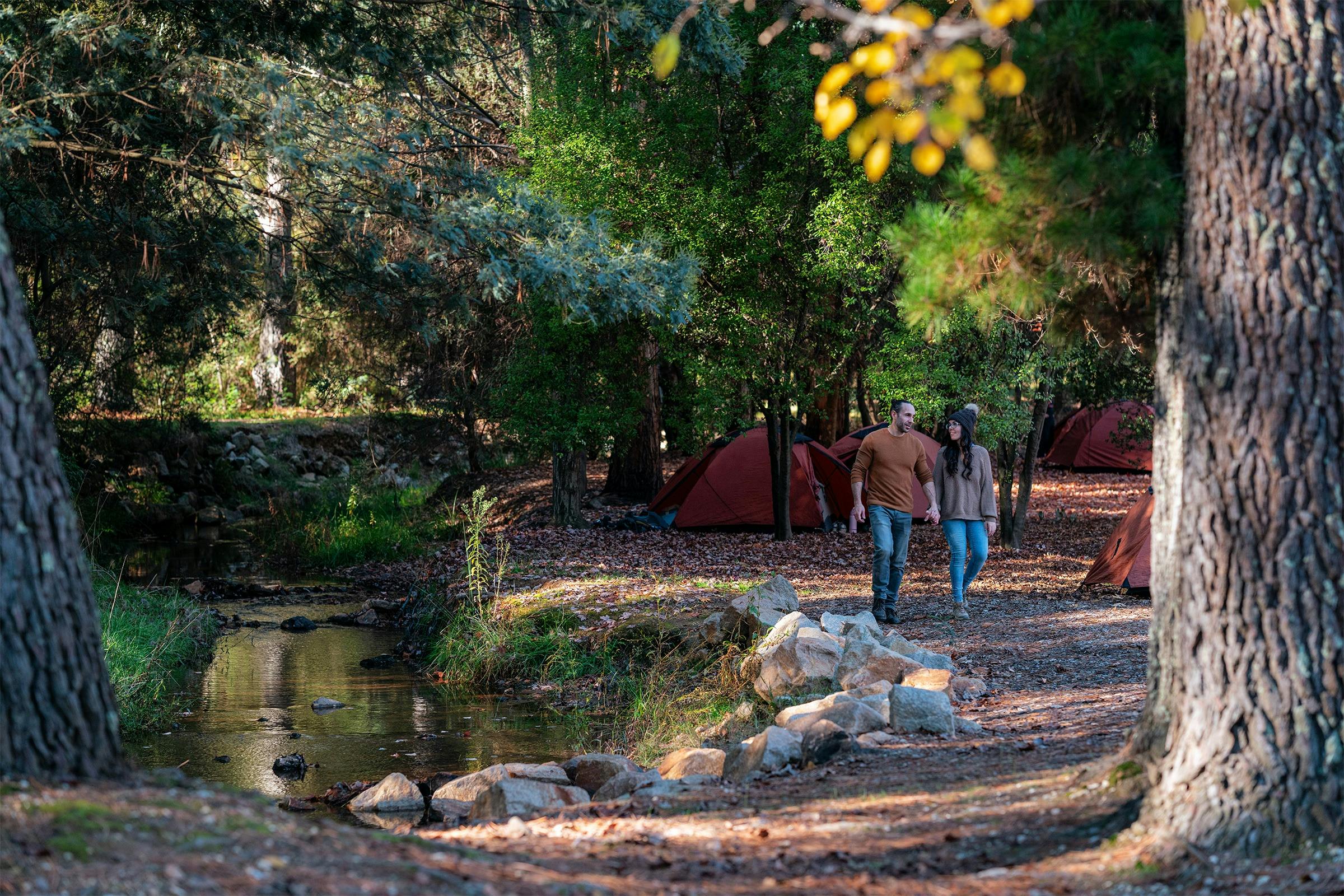 Camp near Spring Creek