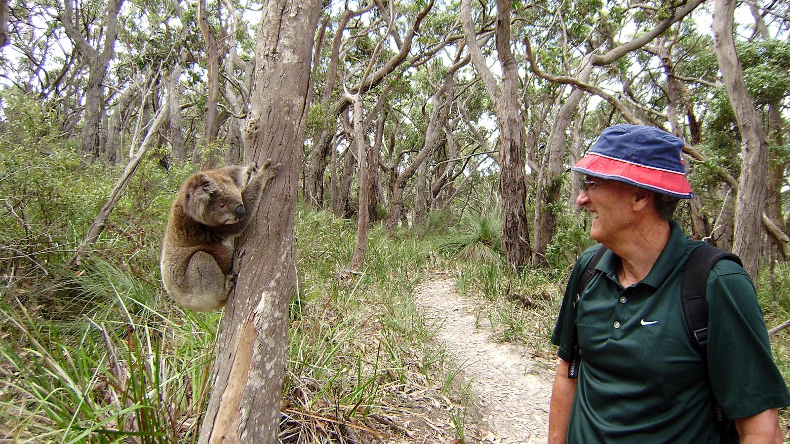 Walk91 - Great Ocean Walk Specialists