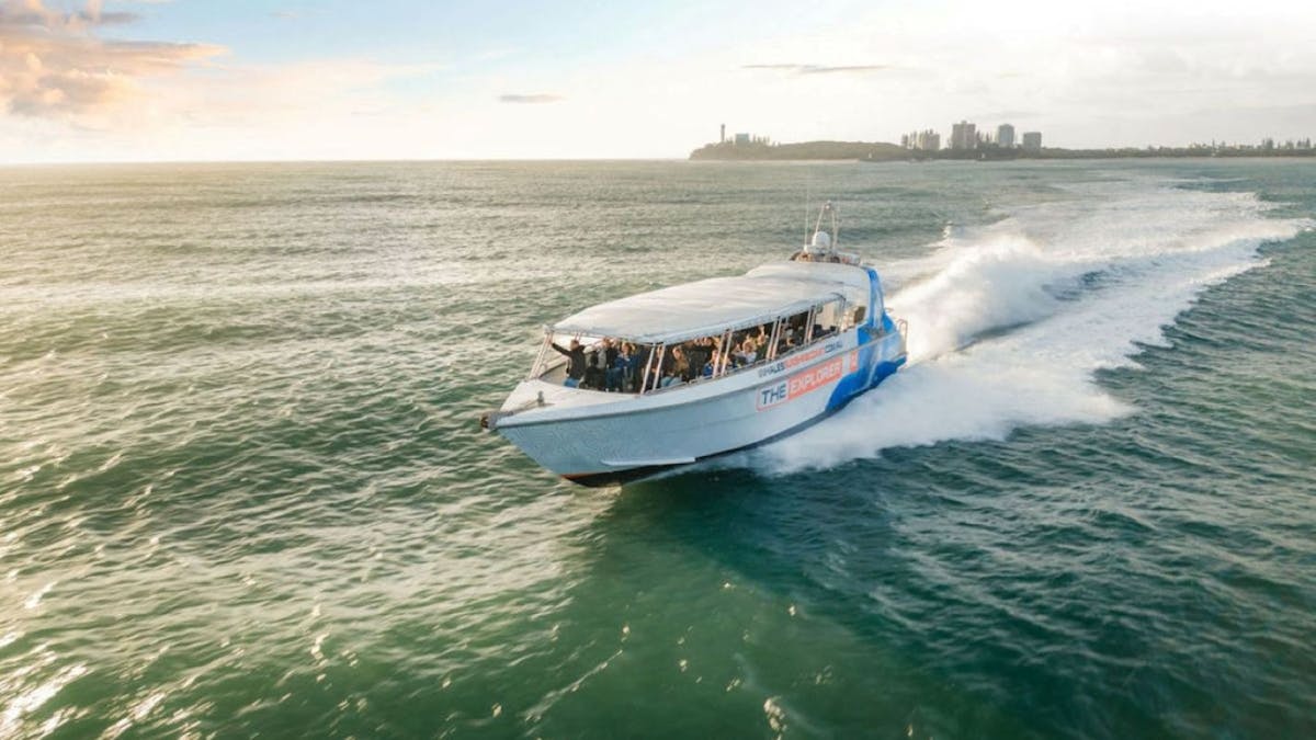 The Whale Explorer heading out on a whale watching experience