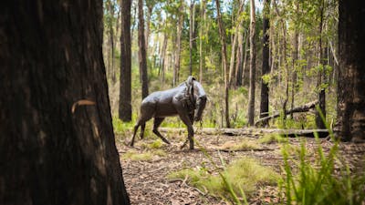 Alpine Ash Walk bronze horse sculpture