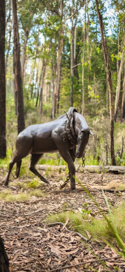 Alpine Ash Walk bronze horse sculpture