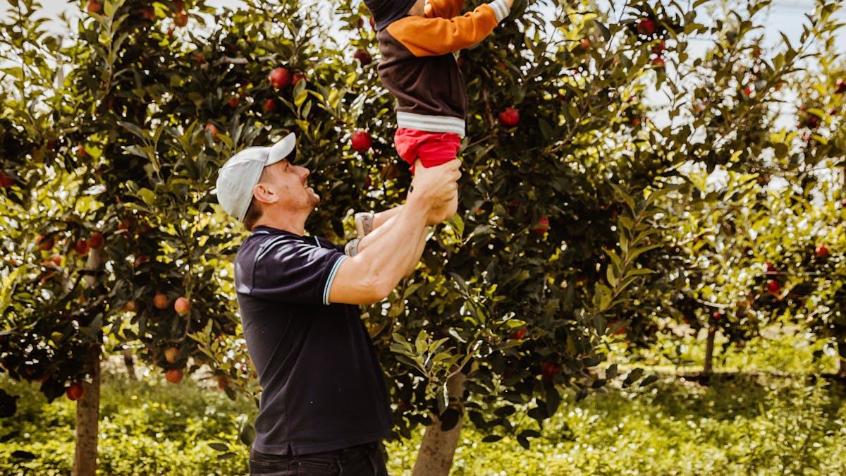 Pick your own apples