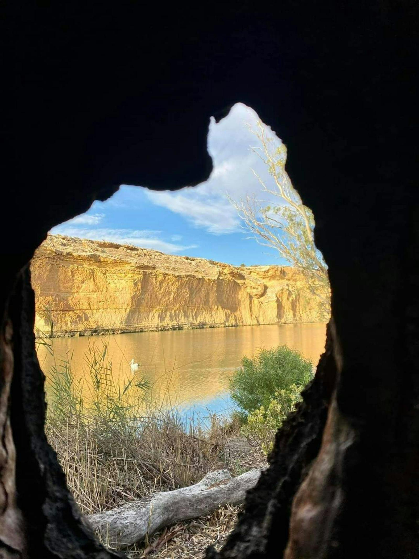 Sit back, relax and enjoy the beautiful scenery along the mighty murray