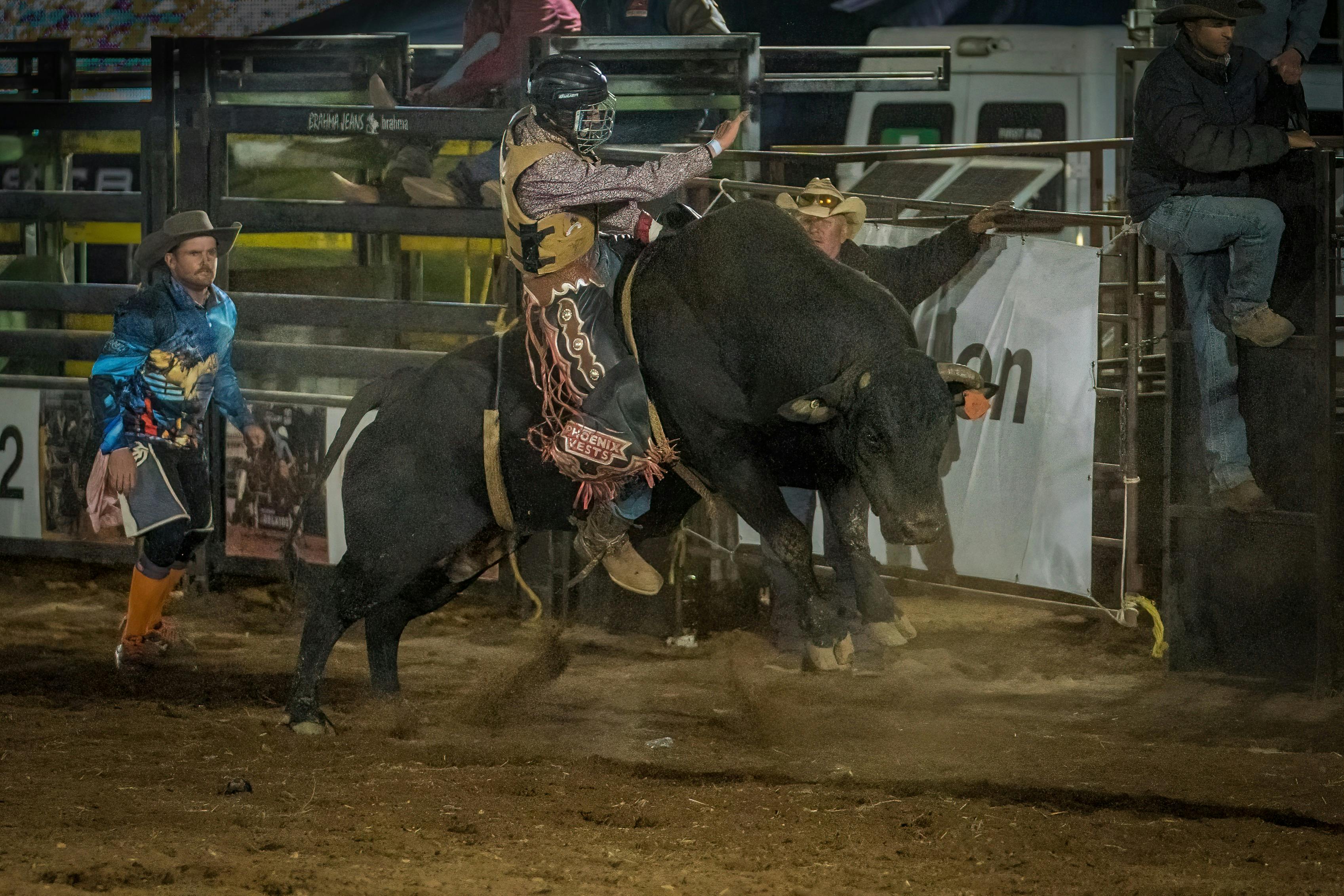Rodeo by the Sea