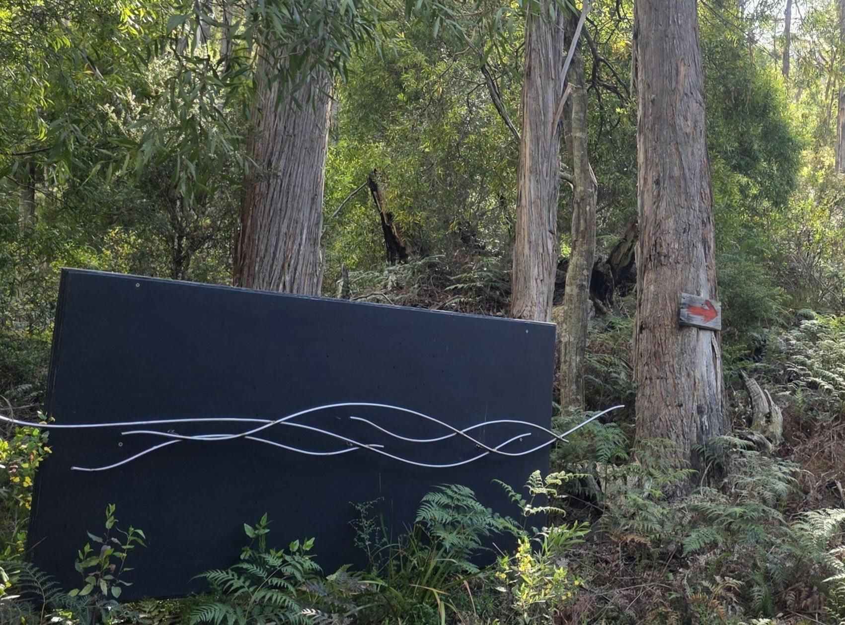Stainless steel rod creating ripples on blackboard insitu in bushland