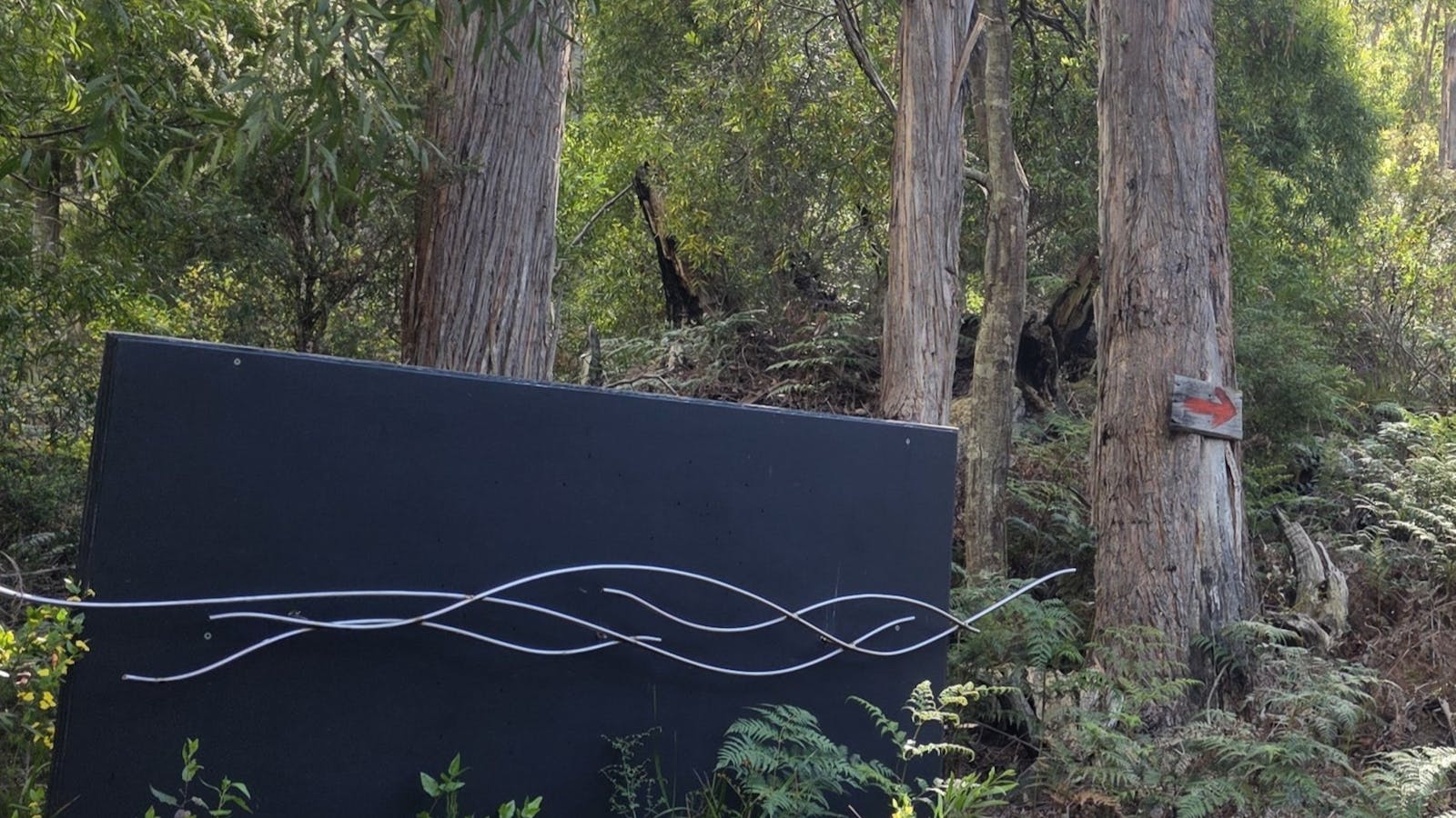 Flow Sculpture by Daren Lindsell