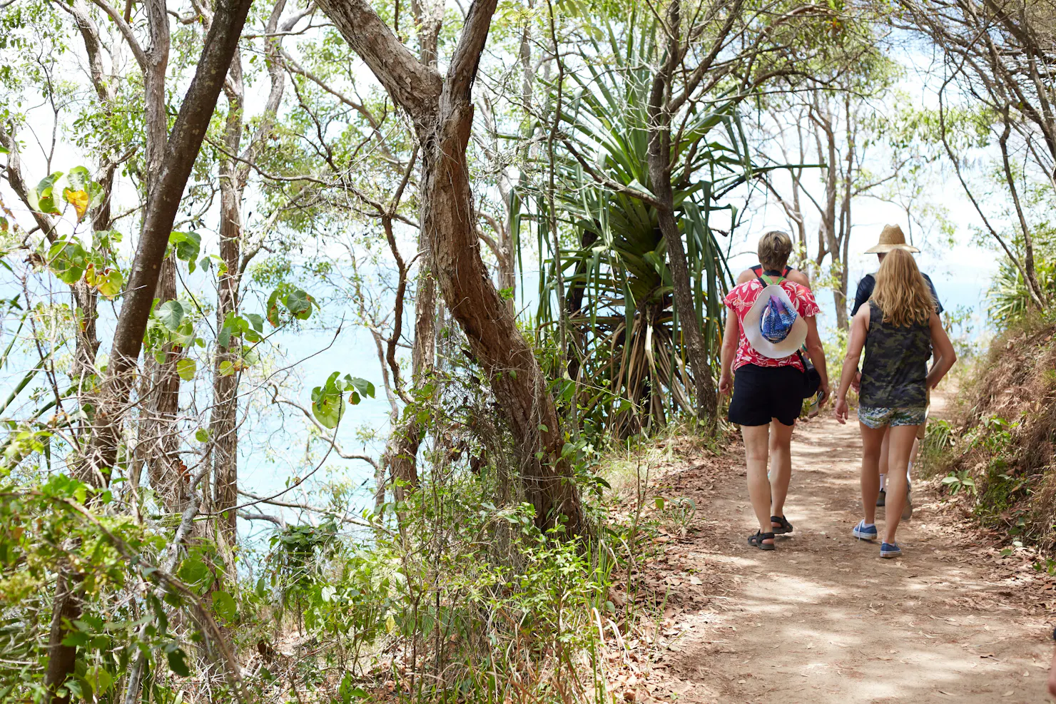 People walking along track through coastal vegetation with ocean down below.