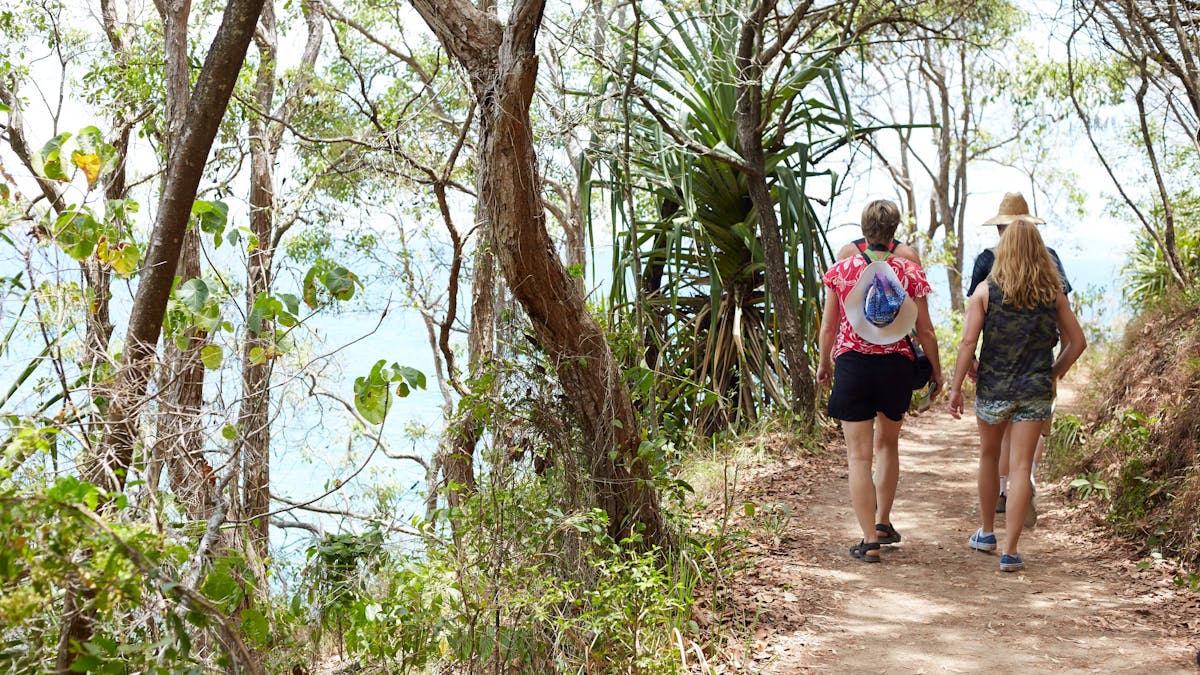 People walking along track through coastal vegetation with ocean down below.