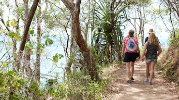 People walking along track through coastal vegetation with ocean down below.