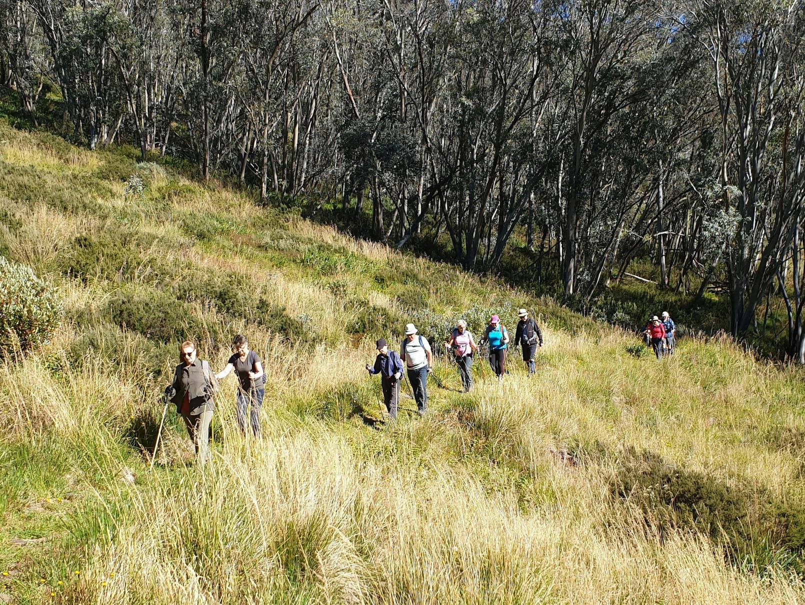Learn about the history of the mountains as well as the flora and fauna