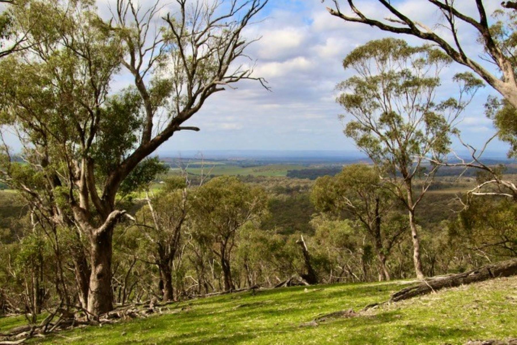 Photo of scenic view from Melville's lookout