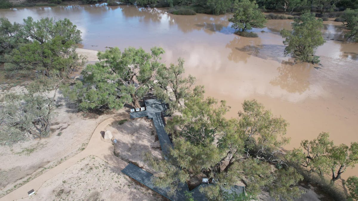 The Dig Tree and Cooper Creek