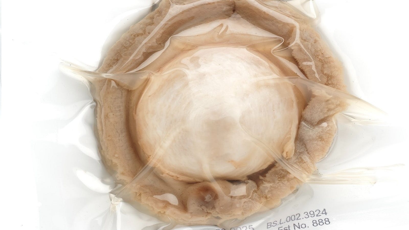 Retort cooked wild caught blacklip abalone