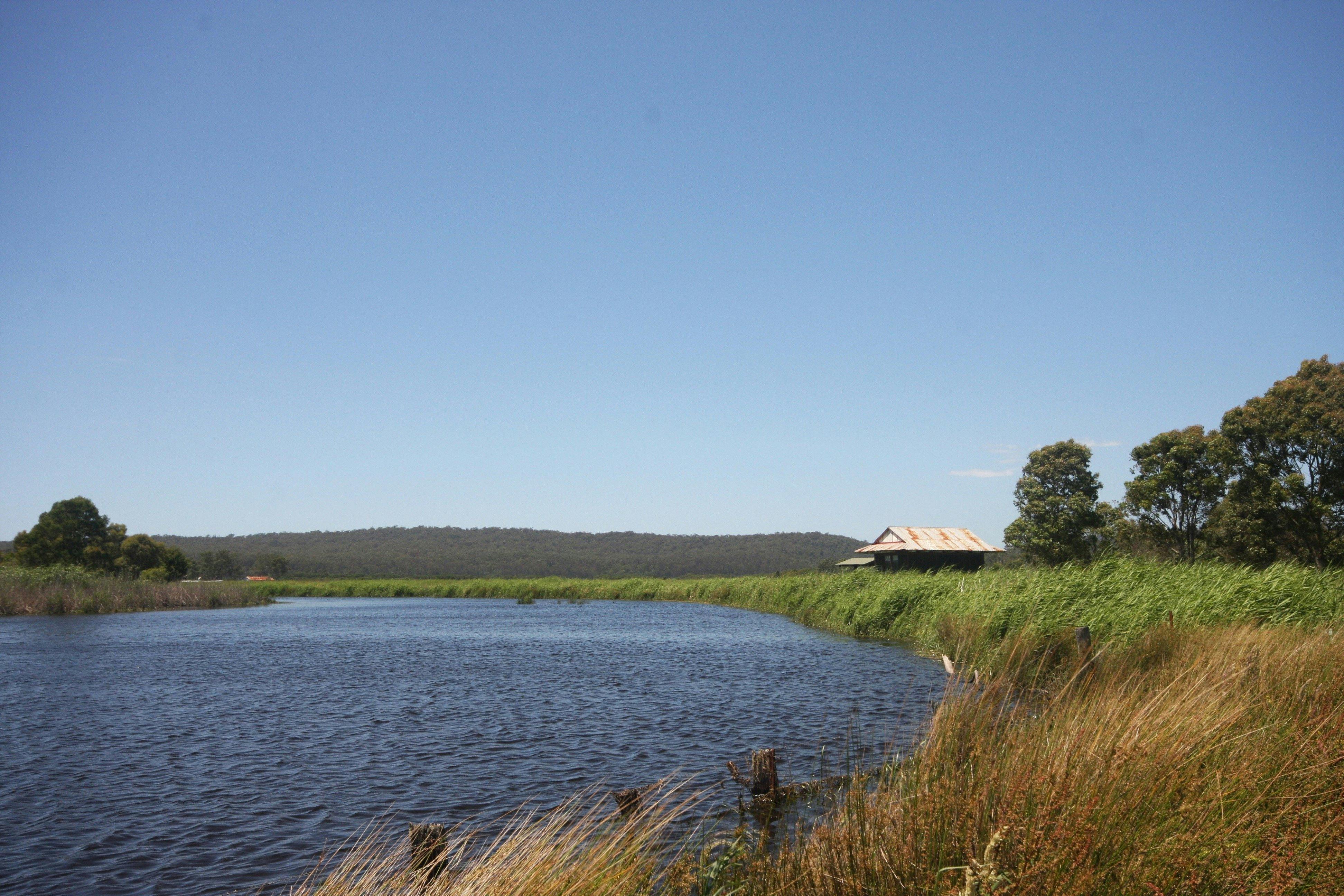 Panboola Wetlands | NSW Holidays & Accommodation, Things to Do