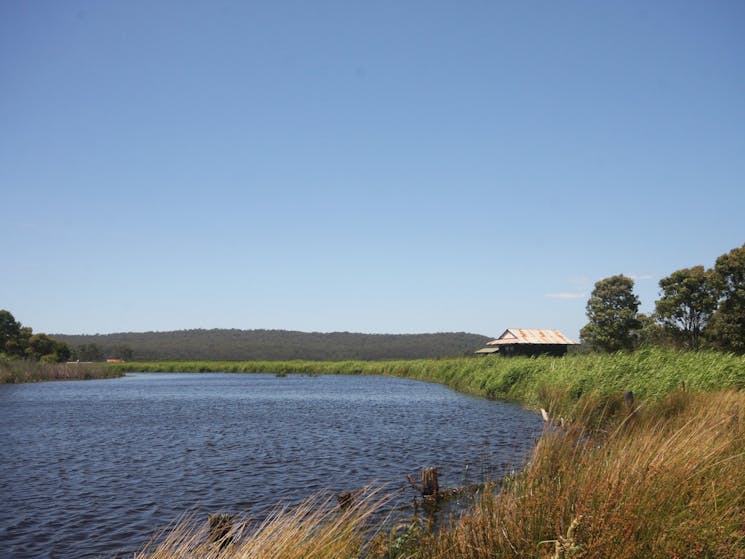 Panboola Wetlandds