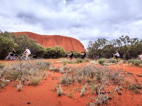 Outback Cycling Uluru Bike Hire