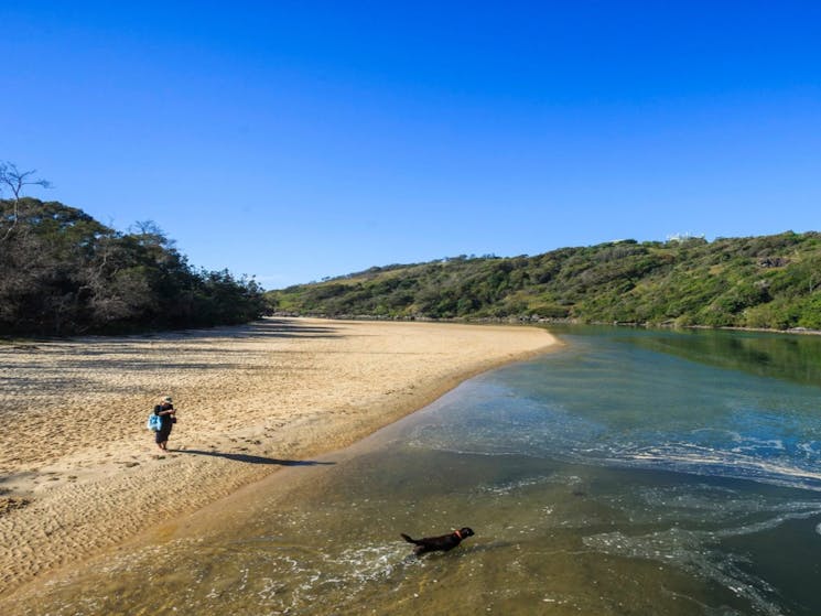 Reflections Holiday Parks Boambee Creek Reserve Dog Friendly