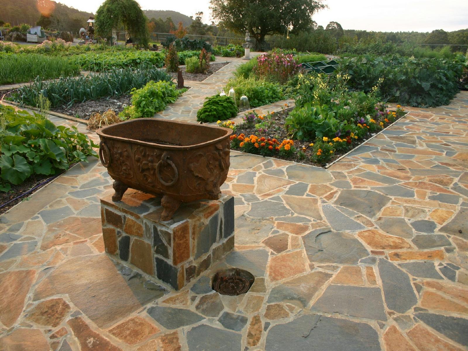 Kitchen Garden in Summer