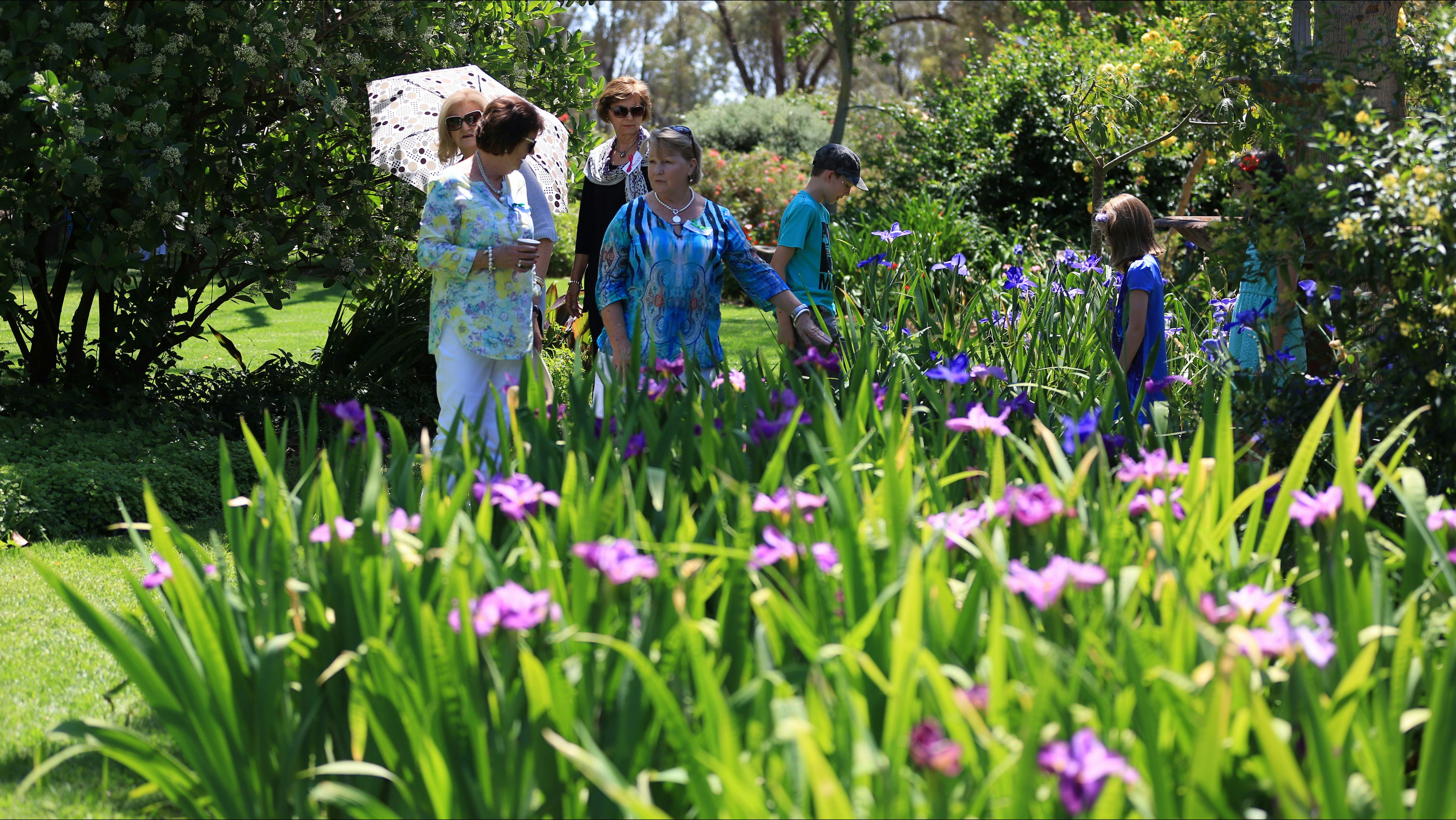 Griffith Spring Fest - Open Gardens