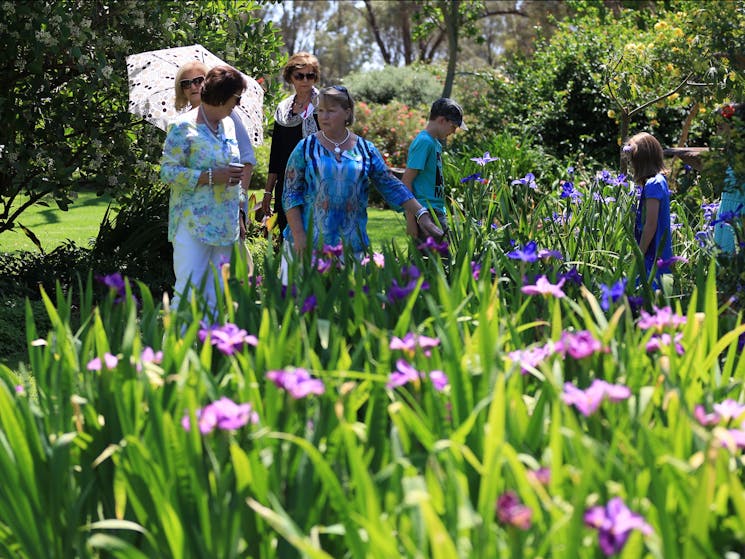 Griffith Spring Fest