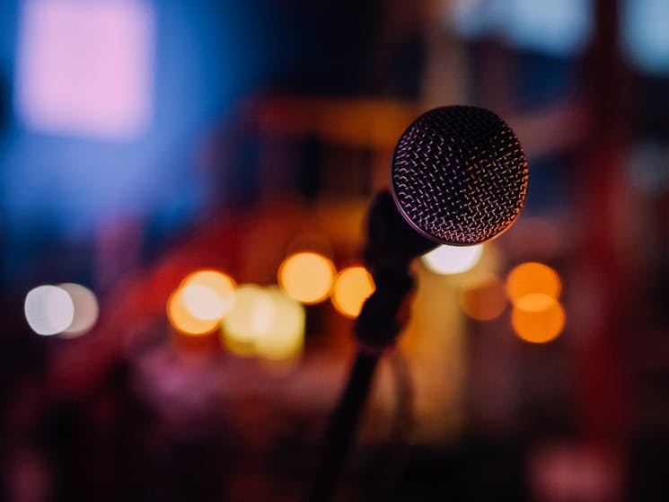 Comedy Night at Harrigan's Hunter Valley
