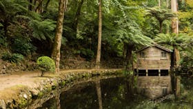 Alfred Nicholas Gardens